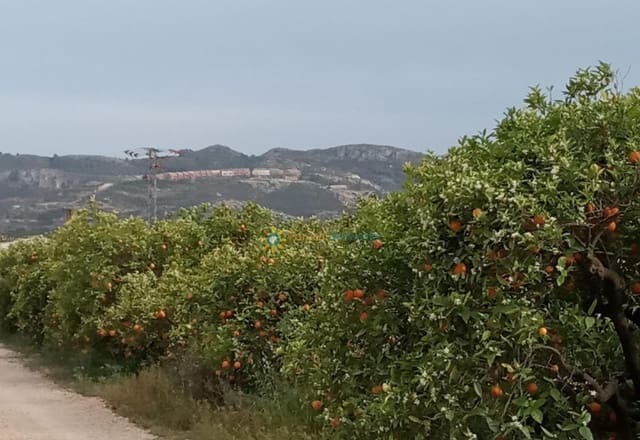 Terreno Non Edificato in vendita in Pego - 29.000 € (Rif: 9357820)