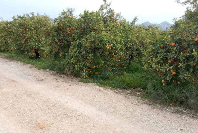 Terreno Non Edificato in vendita in Pego - 29.000 € (Rif: 9357820)