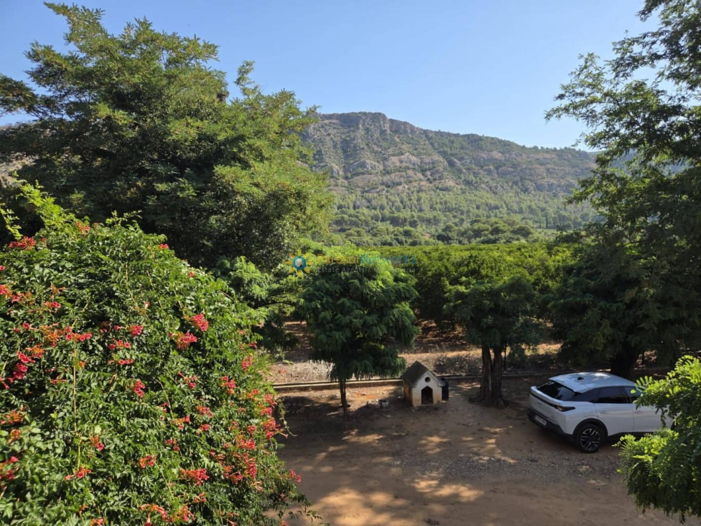 11 sypialnia Finka/Dom wiejski na sprzedaż w Alzira z basenem garażem - 1 999 999 € (Ref: 9360875)