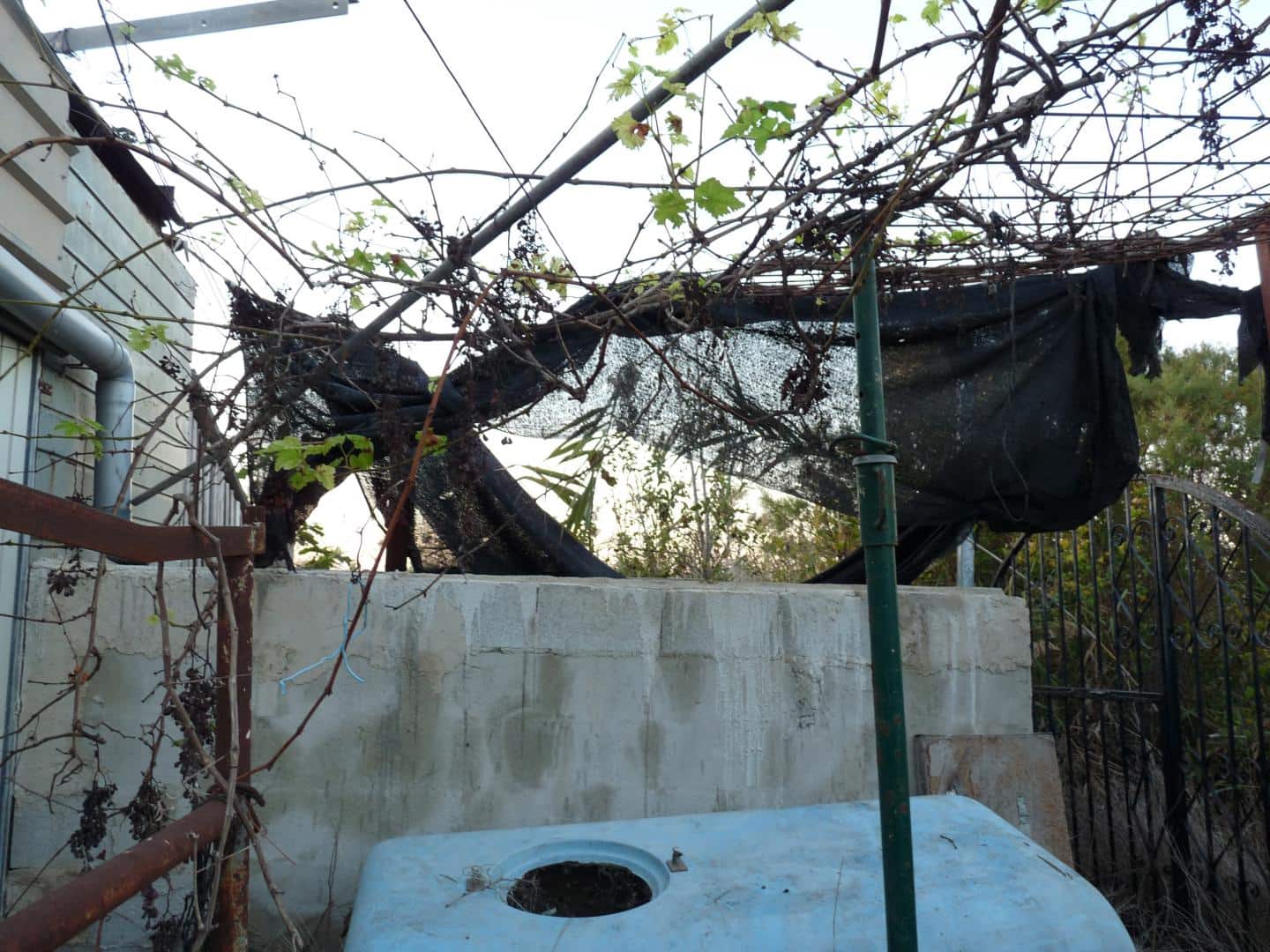 Area Edificabile in vendita in Pego - 50.000 € (Rif: 9371138)