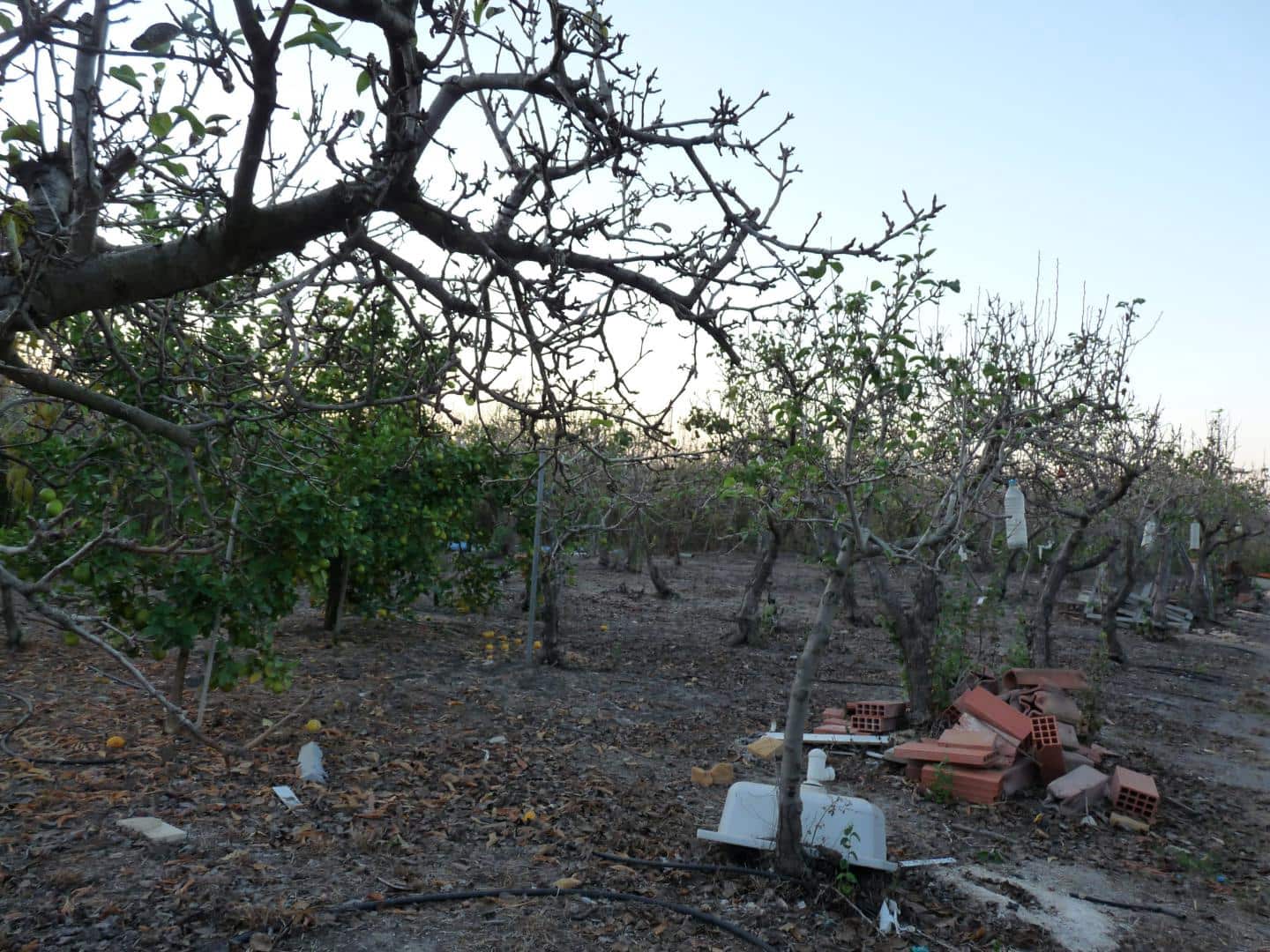 Area Edificabile in vendita in Pego - 50.000 € (Rif: 9371138)