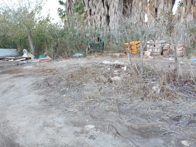 Building Plot for sale in Pego - € 50,000 (Ref: 9371138)