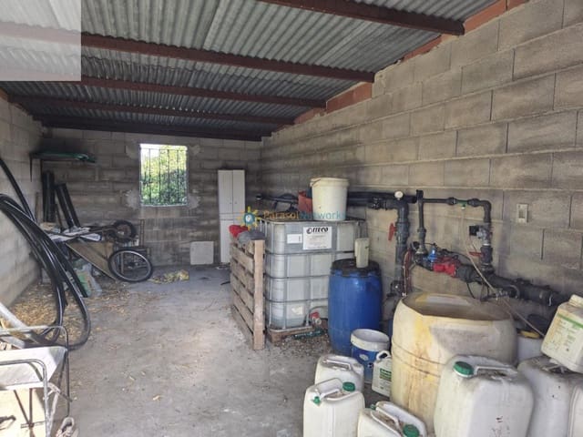 Terreno/Finca Rústica en Senyera en venta - 53.000 € (Ref: 9383315)