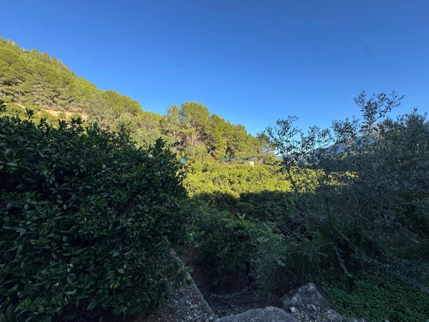 Rakentamaton maa myytävänä paikassa Simat de la Valldigna - 38 000 € (Ref: 9383327)