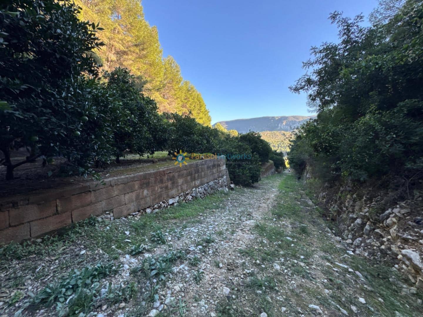 Rakentamaton maa myytävänä paikassa Simat de la Valldigna - 38 000 € (Ref: 9383327)