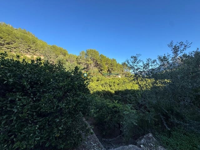 Undeveloped Land for sale in Simat de la Valldigna - € 38,000 (Ref: 9383327)