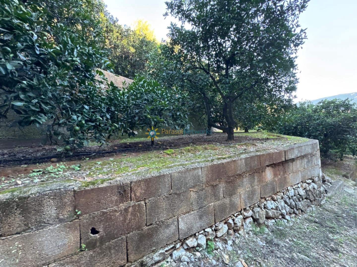 Rakentamaton maa myytävänä paikassa Simat de la Valldigna - 38 000 € (Ref: 9383327)