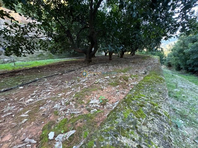 Undeveloped Land for sale in Simat de la Valldigna - € 38,000 (Ref: 9383327)