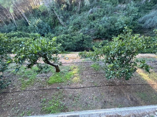 Undeveloped Land for sale in Simat de la Valldigna - € 38,000 (Ref: 9383327)