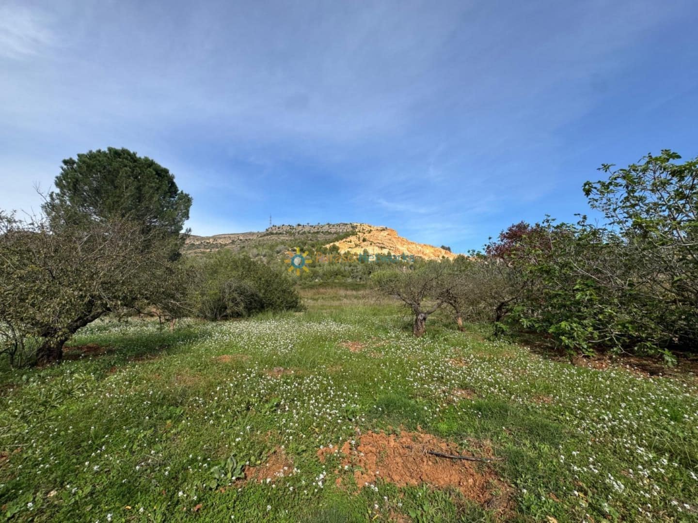 1 soverom Villa til salgs i Barxeta med svømmebasseng - € 100 000 (Ref: 9383512)