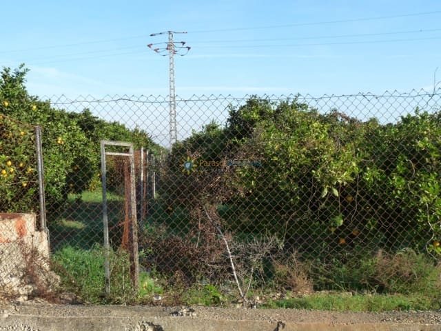 Building Plot for sale in Oliva Pueblo, Oliva - € 120,000 (Ref: 9386628)