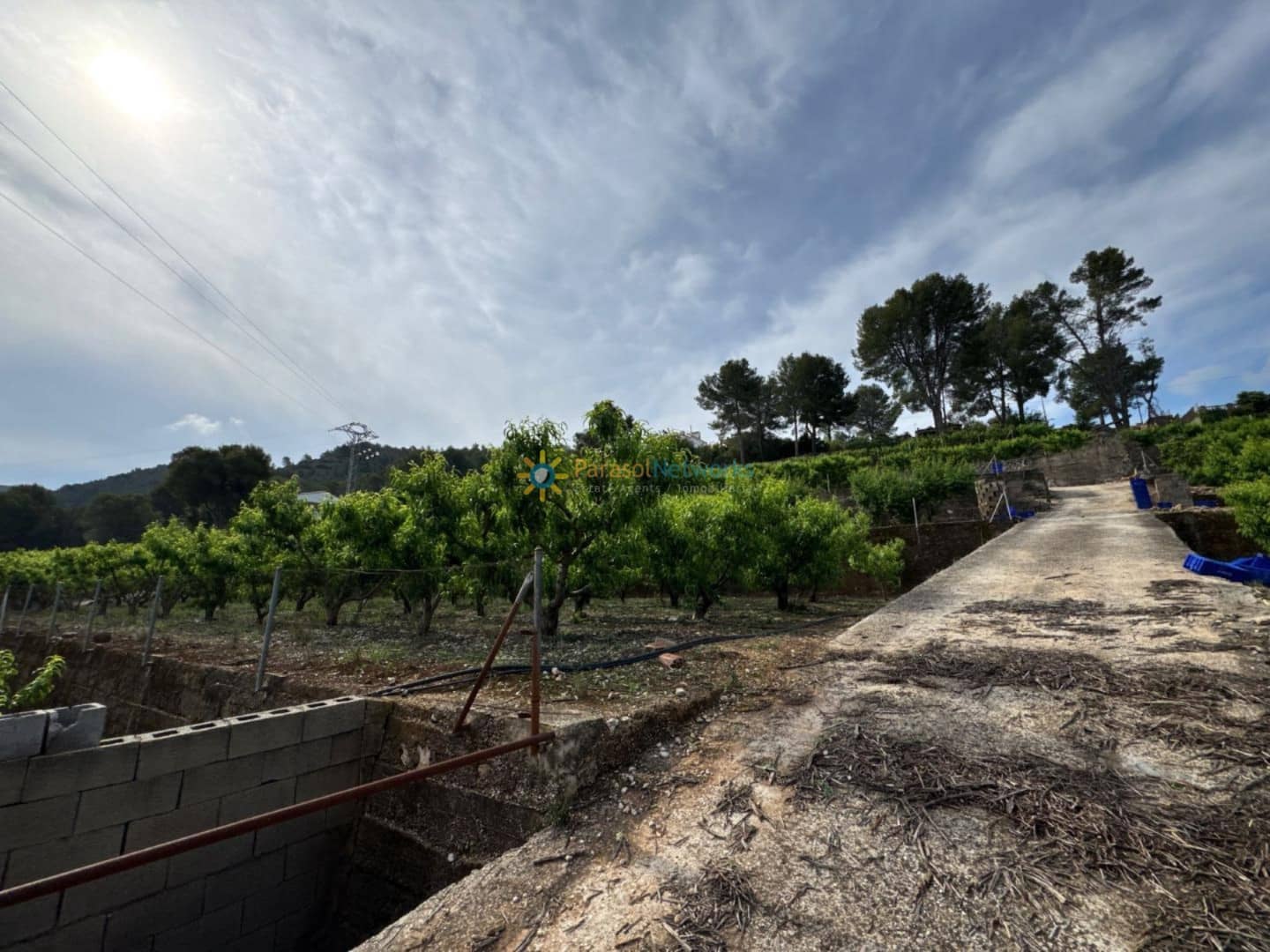 Terreno Non Edificato in vendita in La Font d'En Carros - 73.000 € (Rif: 9386966)