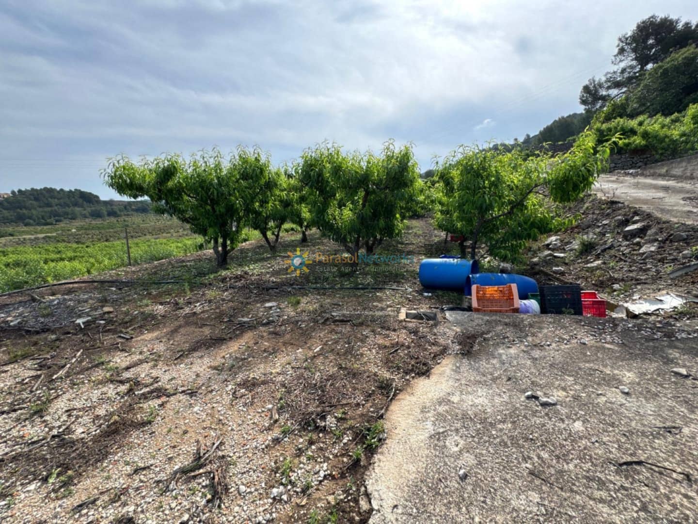 Terreno Non Edificato in vendita in La Font d'En Carros - 73.000 € (Rif: 9386966)