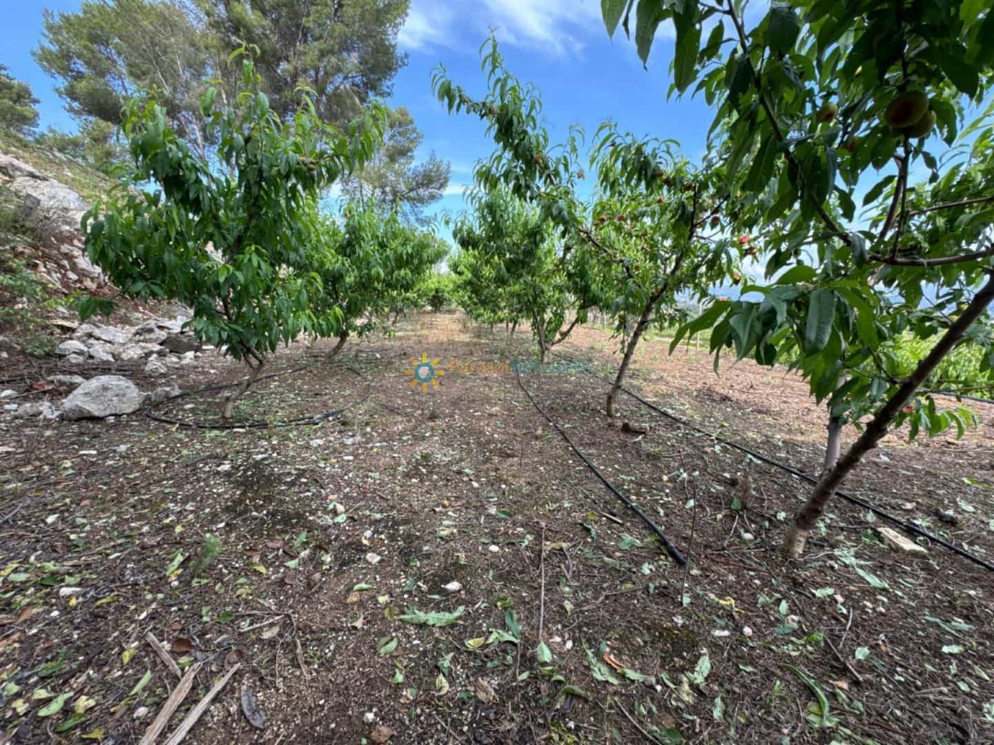 Terreno Non Edificato in vendita in La Font d'En Carros - 73.000 € (Rif: 9386966)