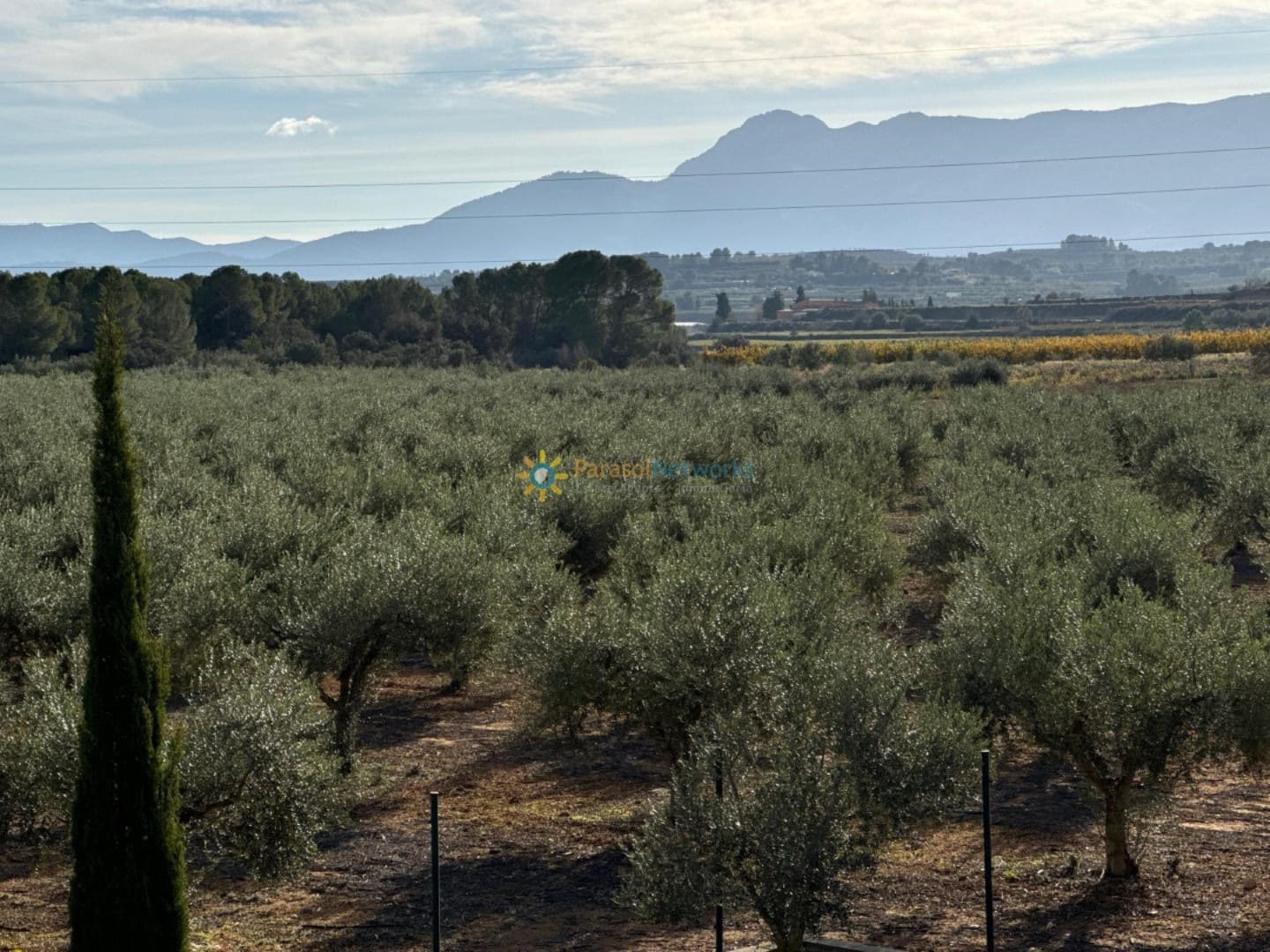 2 slaapkamer Villa te koop in Palomar met garage - € 138.000 (Ref: 9402543)