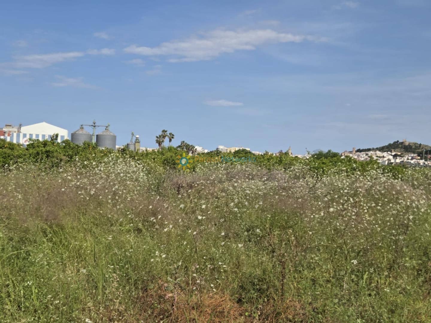 Building Plot for sale in Oliva - € 23,000 (Ref: 9402710)
