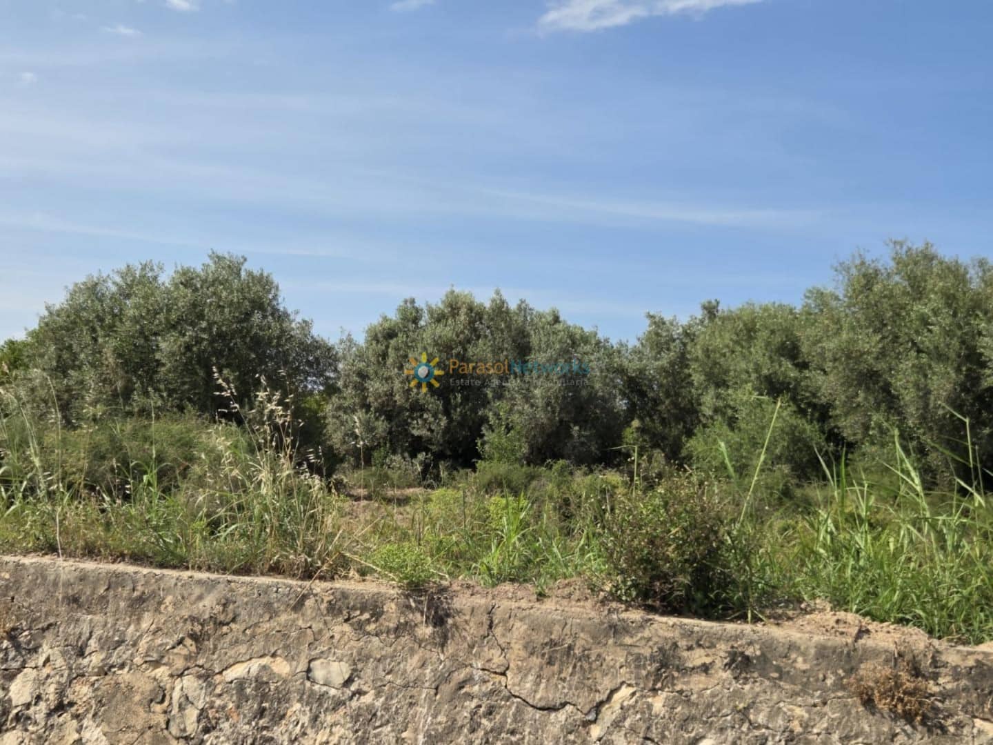 Building Plot for sale in Oliva - € 23,000 (Ref: 9402710)