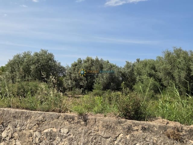 Building Plot for sale in Oliva Pueblo, Oliva - € 23,000 (Ref: 9402710)
