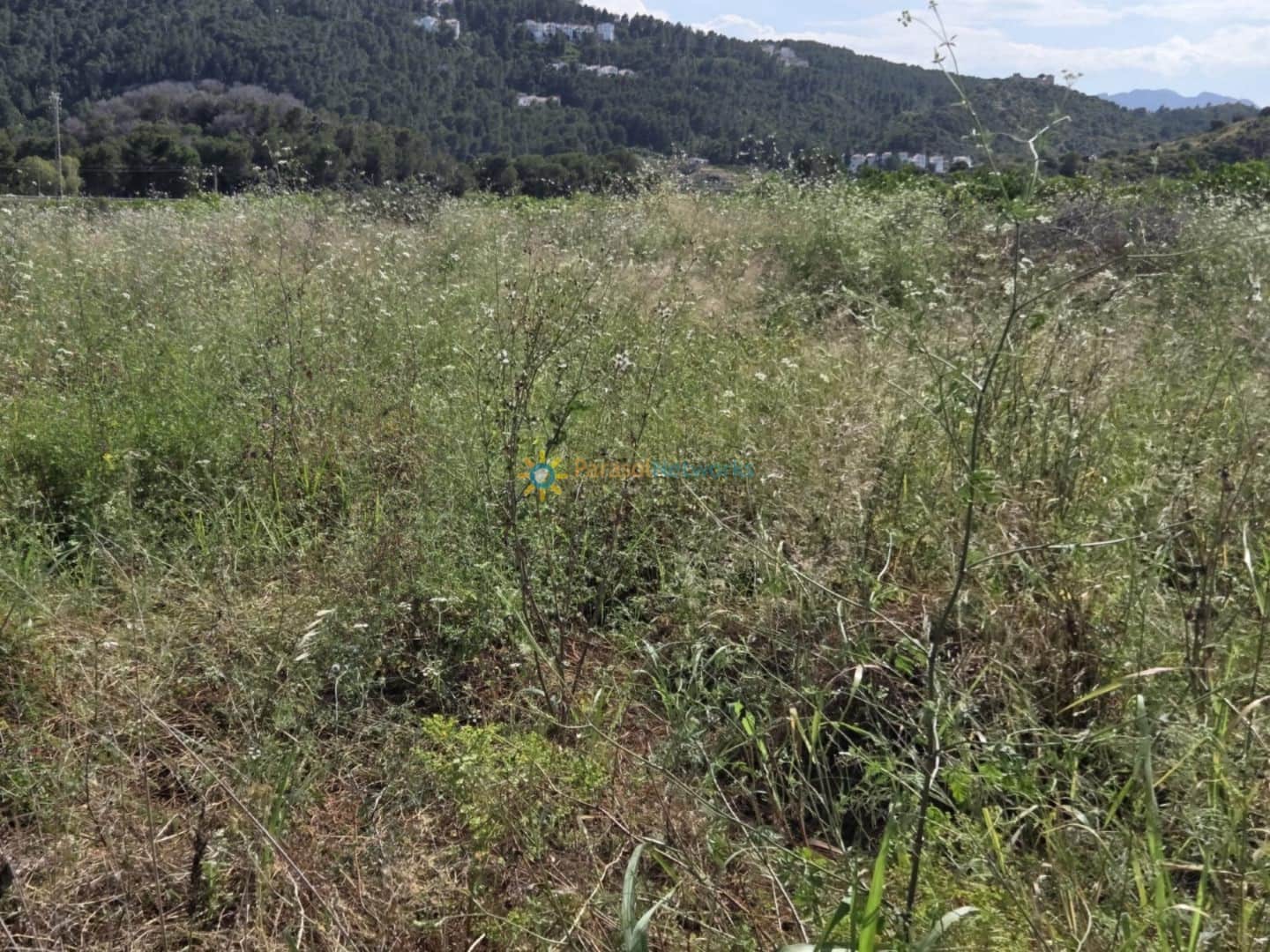 Building Plot for sale in Oliva - € 23,000 (Ref: 9402710)