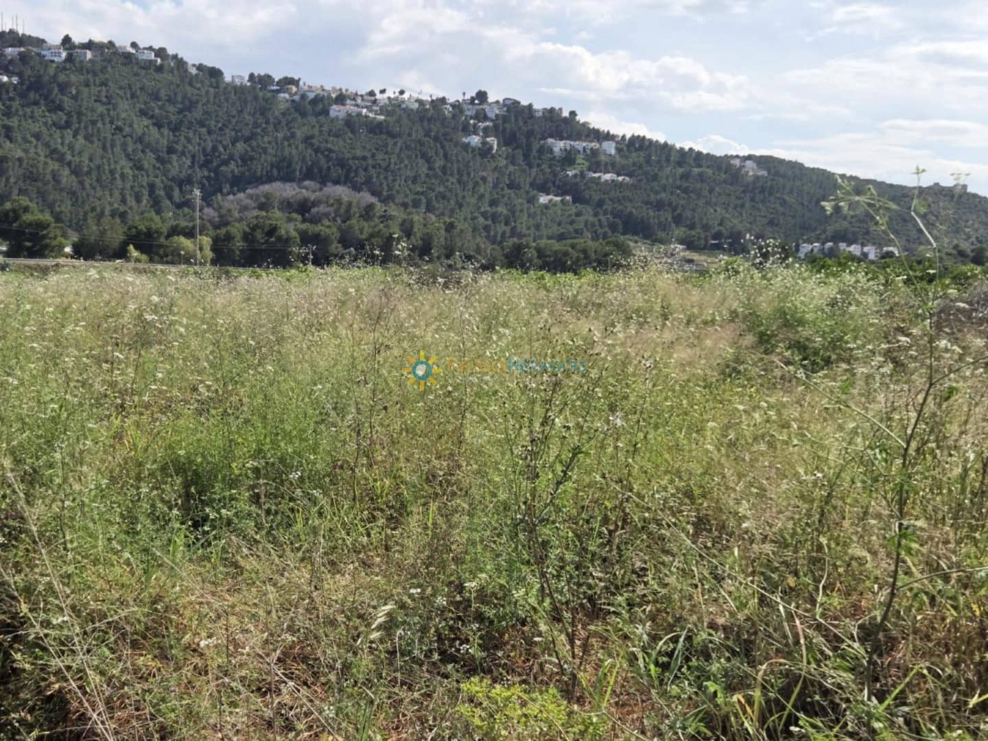 Building Plot for sale in Oliva - € 23,000 (Ref: 9402710)