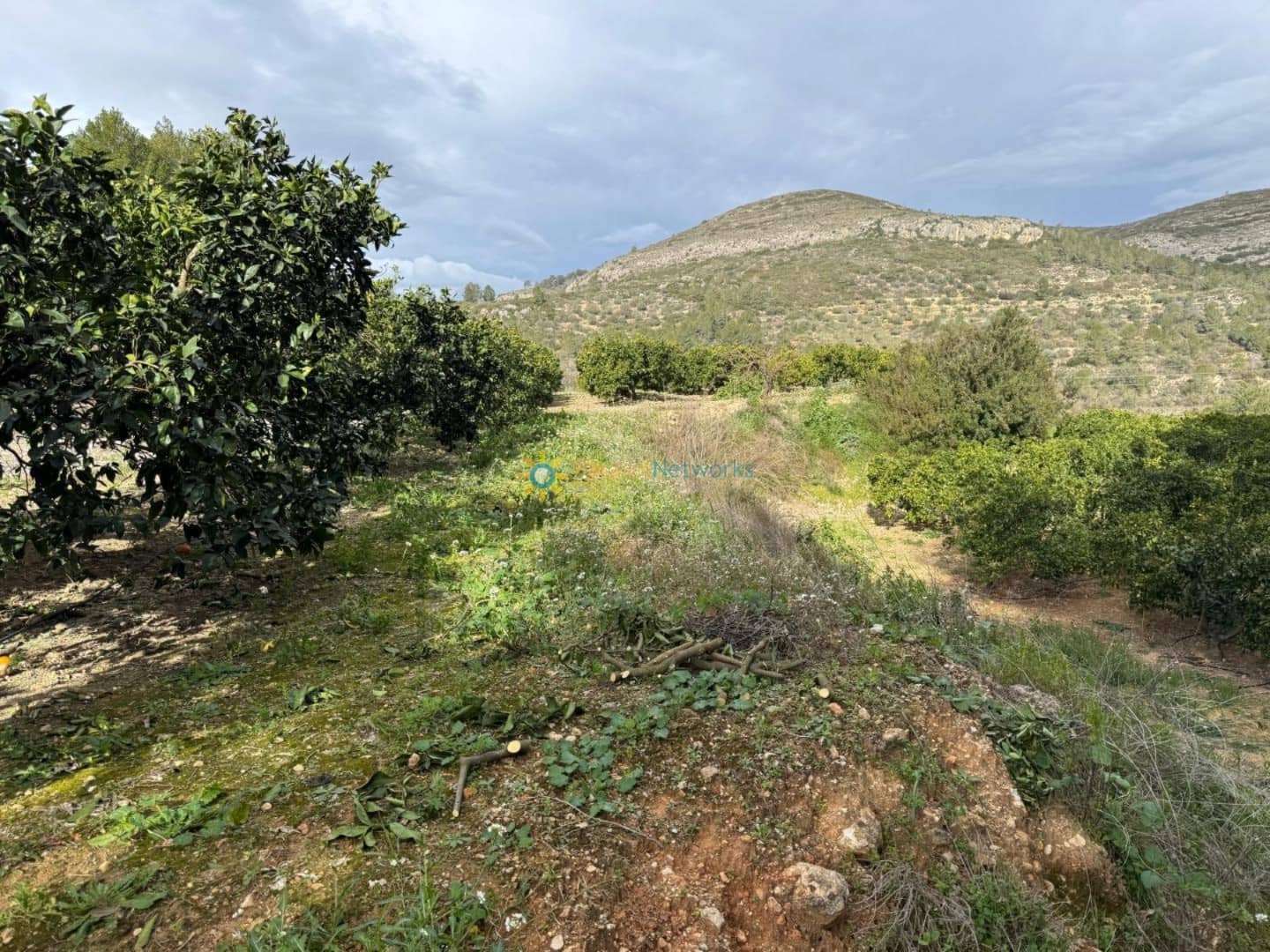 Ubebygd land til salgs i Beniganim - € 29 000 (Ref: 9410162)
