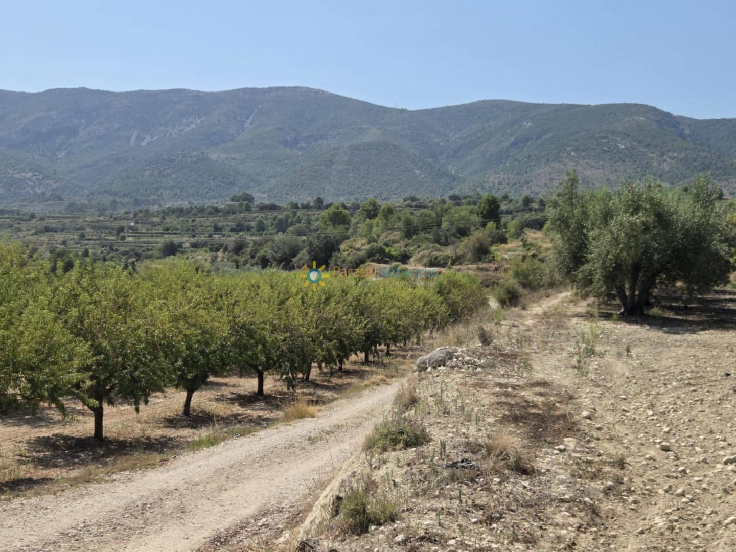 Terre non Aménagée à vendre à Belgida - 50 000 € (Ref: 9414421)