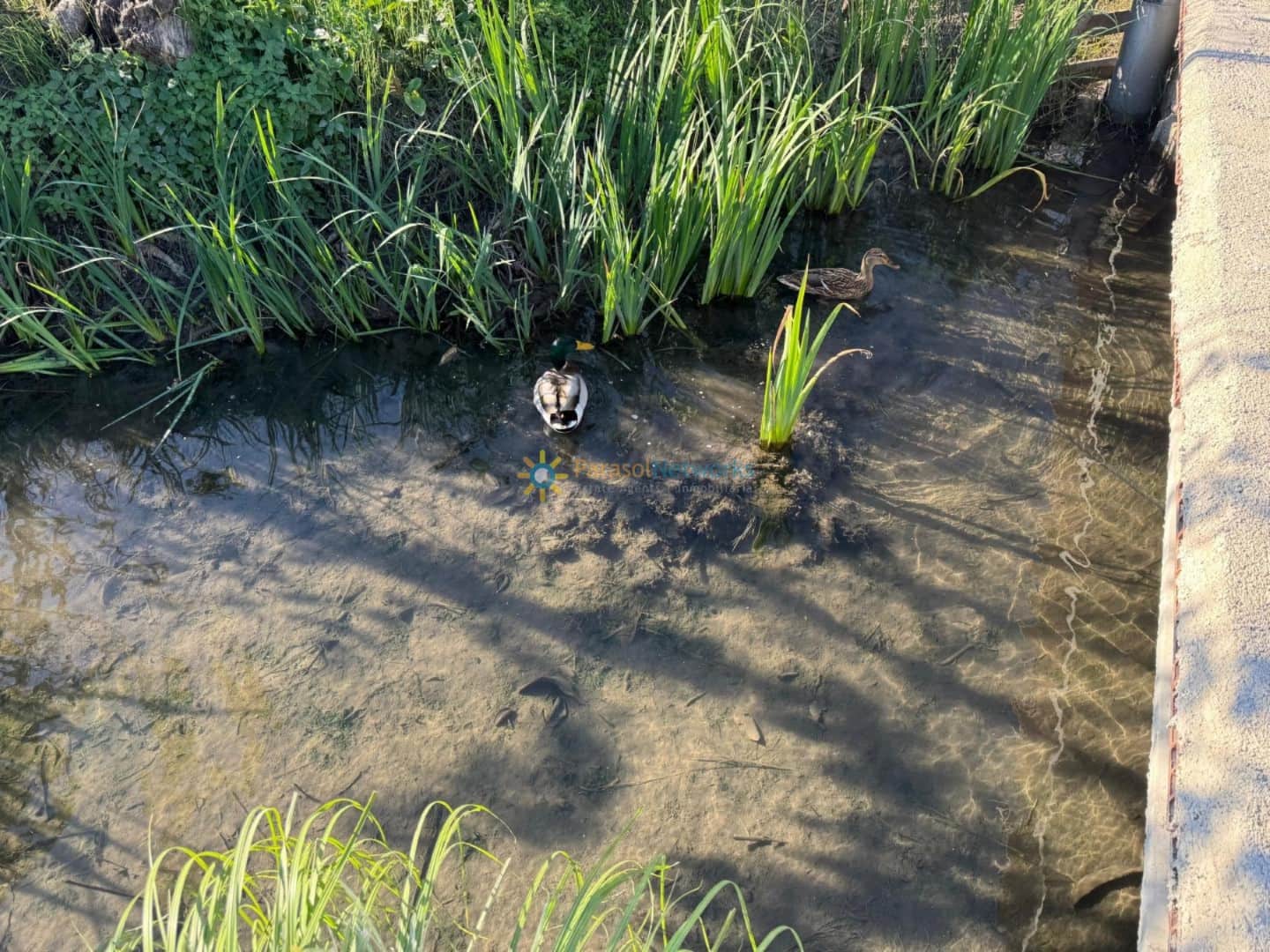 Villa til salgs i Bellreguard med garasje - € 75 000 (Ref: 9418785)