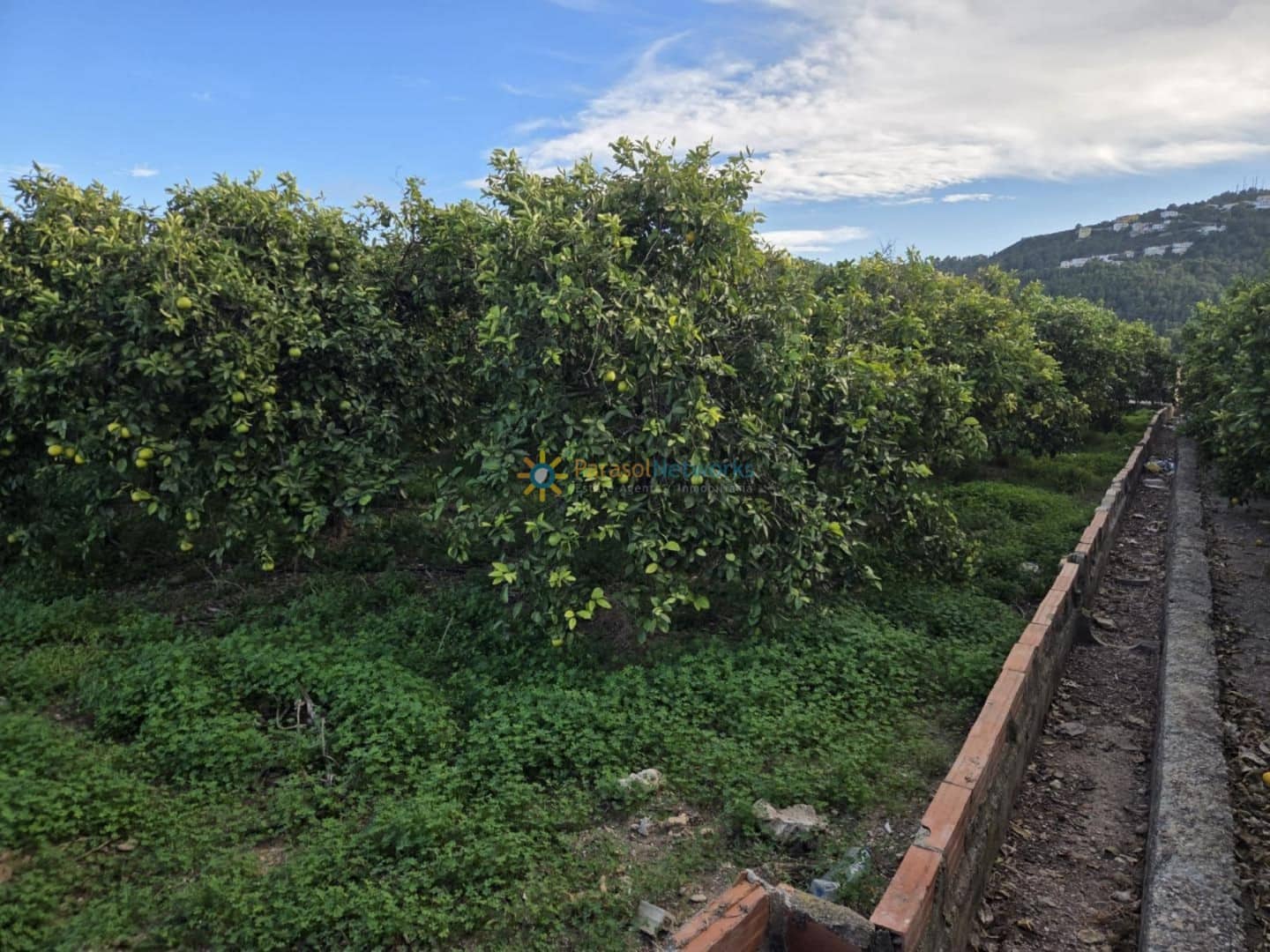 Grond te koop in Oliva - € 15.000 (Ref: 9420665)