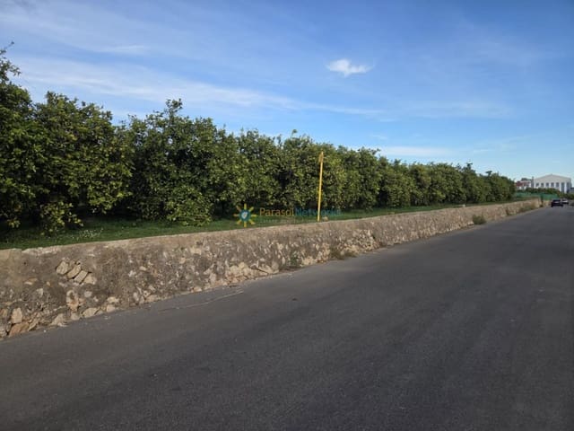 Undeveloped Land for sale in Oliva Pueblo, Oliva - € 15,000 (Ref: 9420665)