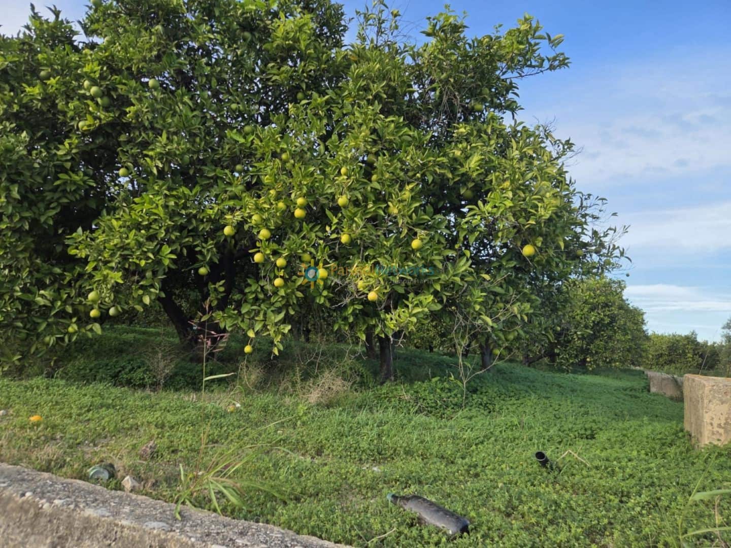 Grond te koop in Oliva - € 15.000 (Ref: 9420665)