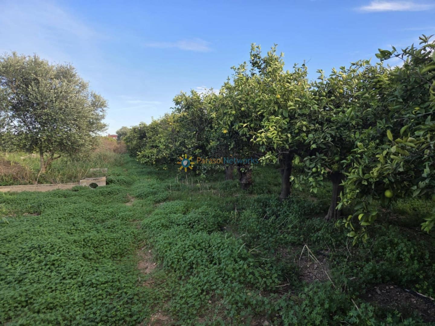 Grond te koop in Oliva - € 15.000 (Ref: 9420665)