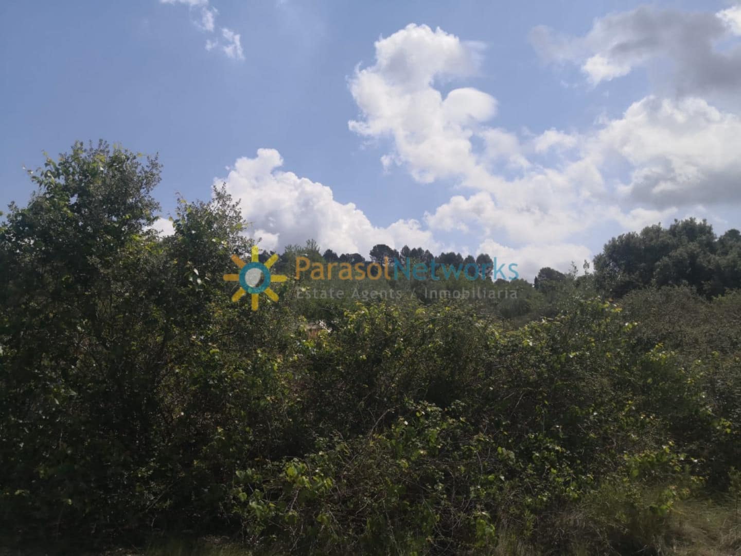 Undeveloped Land for sale in Castello de Rugat - € 19,000 (Ref: 9426589)