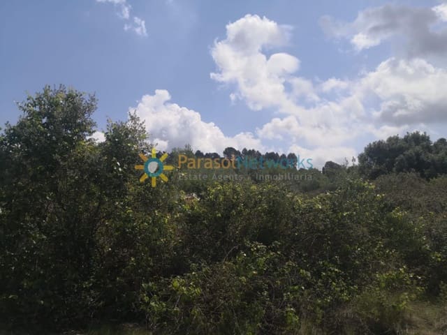 Undeveloped Land for sale in Castelló de Rugat - € 19,000 (Ref: 9426589)