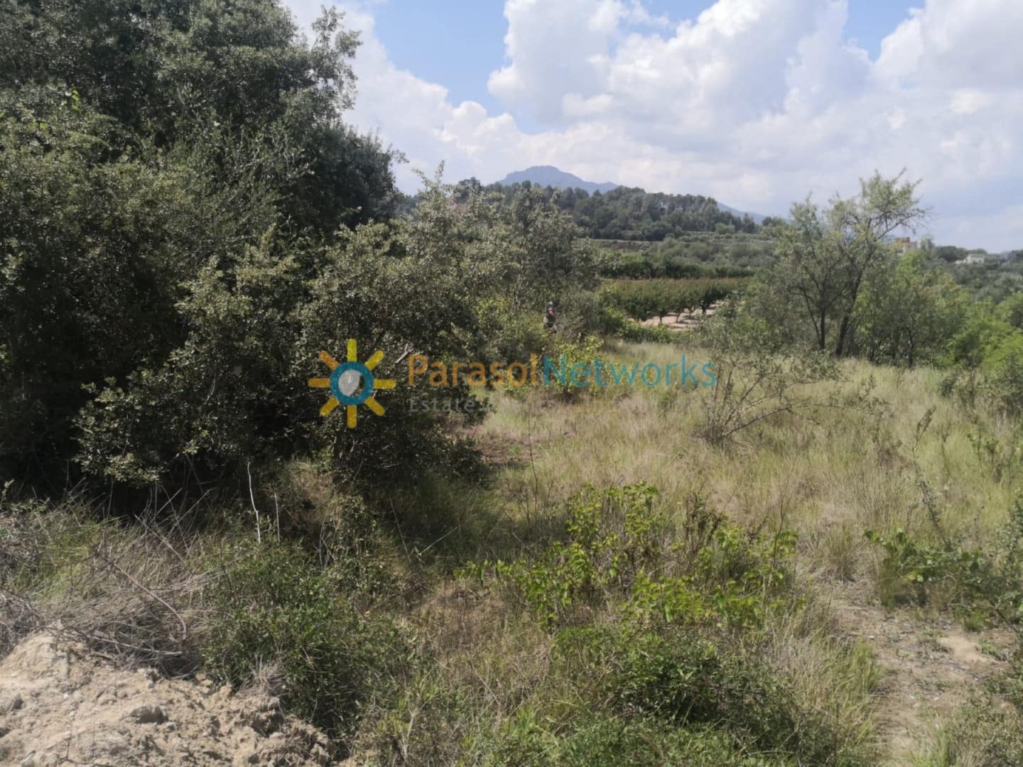 Undeveloped Land for sale in Castello de Rugat - € 19,000 (Ref: 9426589)