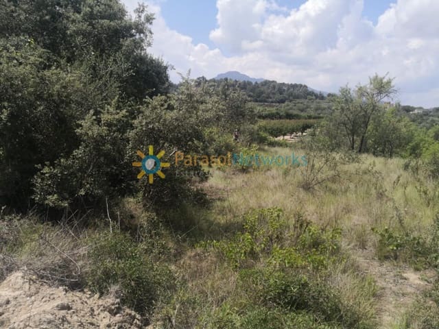 Undeveloped Land for sale in Castelló de Rugat - € 19,000 (Ref: 9426589)