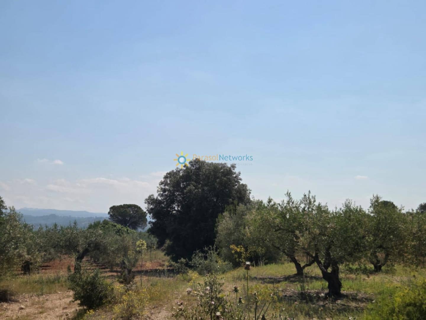 Grond te koop in Bellus - € 21.000 (Ref: 9428246)