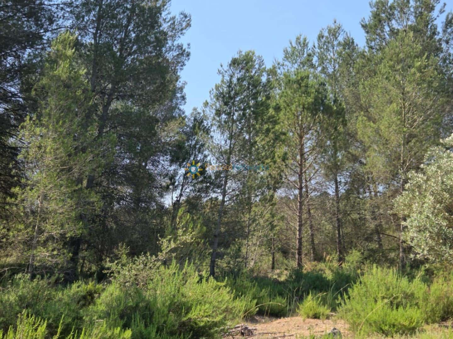 Grond te koop in Bellus - € 21.000 (Ref: 9428246)