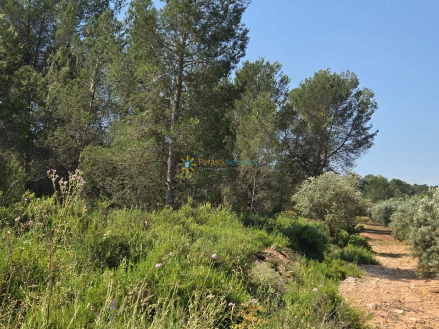 Grond te koop in Bellus - € 21.000 (Ref: 9428246)