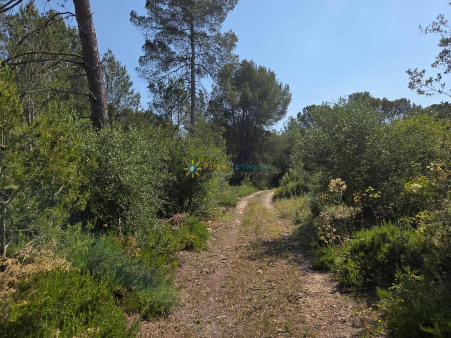 Grond te koop in Bellus - € 21.000 (Ref: 9428246)