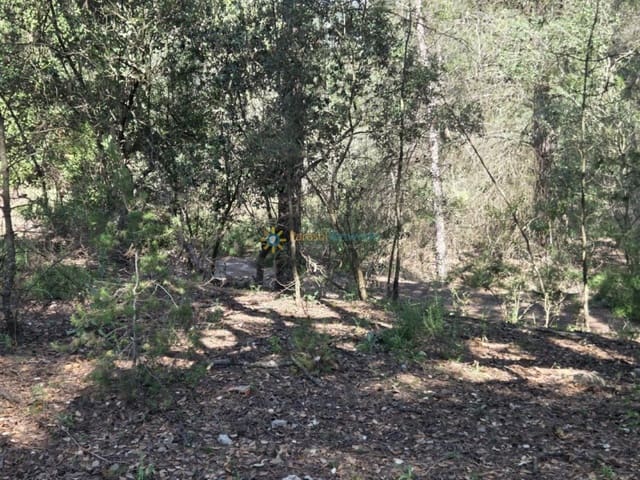 Undeveloped Land for sale in Bellús - € 21,000 (Ref: 9428246)
