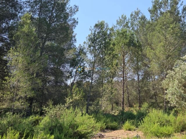 Undeveloped Land for sale in Bellús - € 21,000 (Ref: 9428246)
