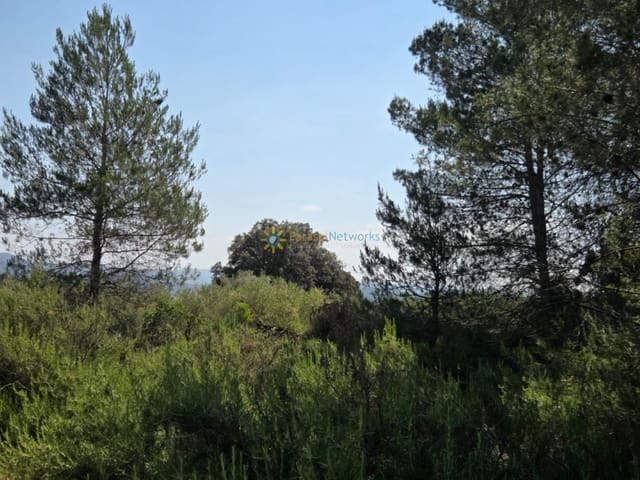 Undeveloped Land for sale in Bellús - € 21,000 (Ref: 9428246)