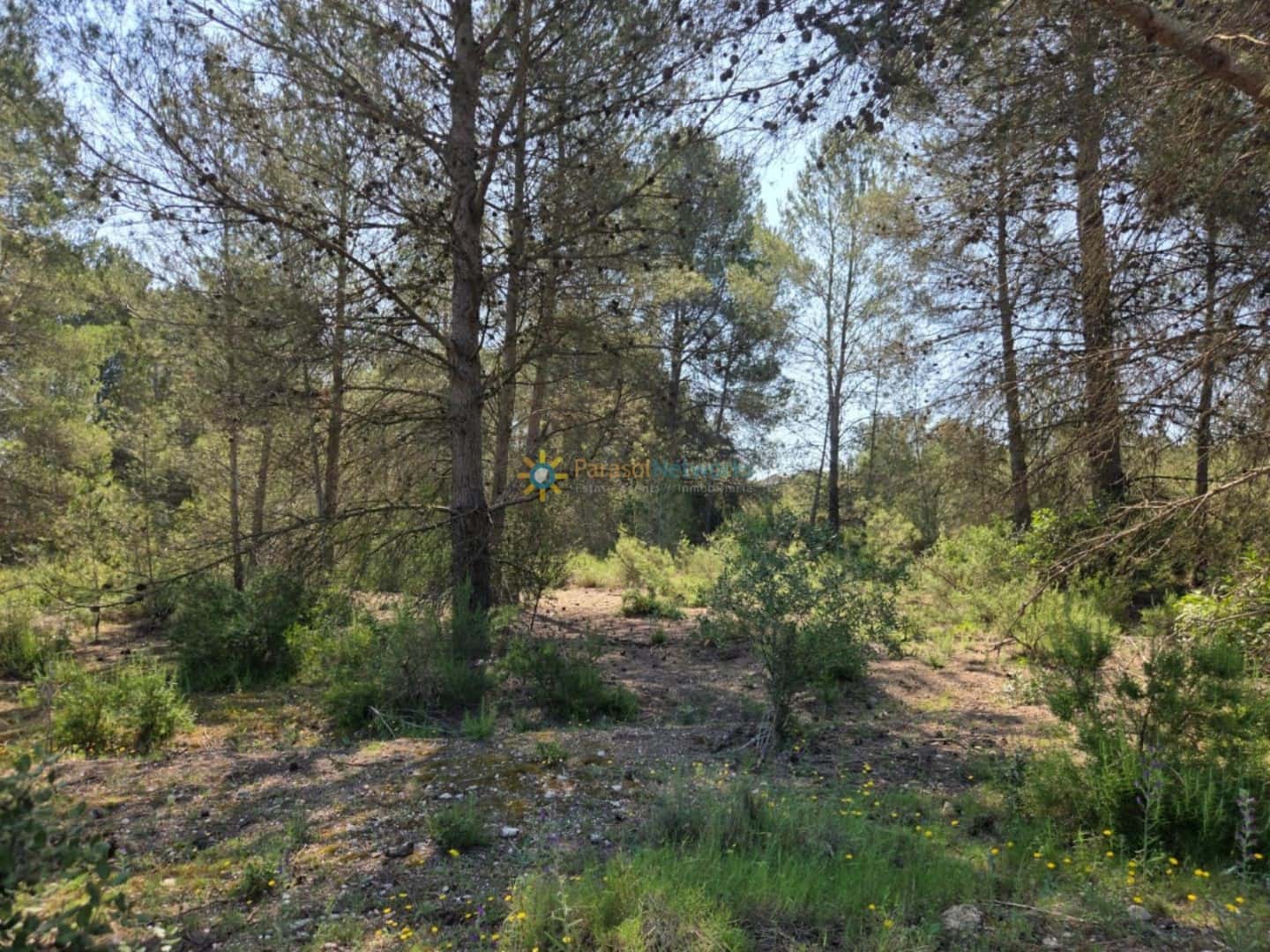 Grond te koop in Bellus - € 21.000 (Ref: 9428246)