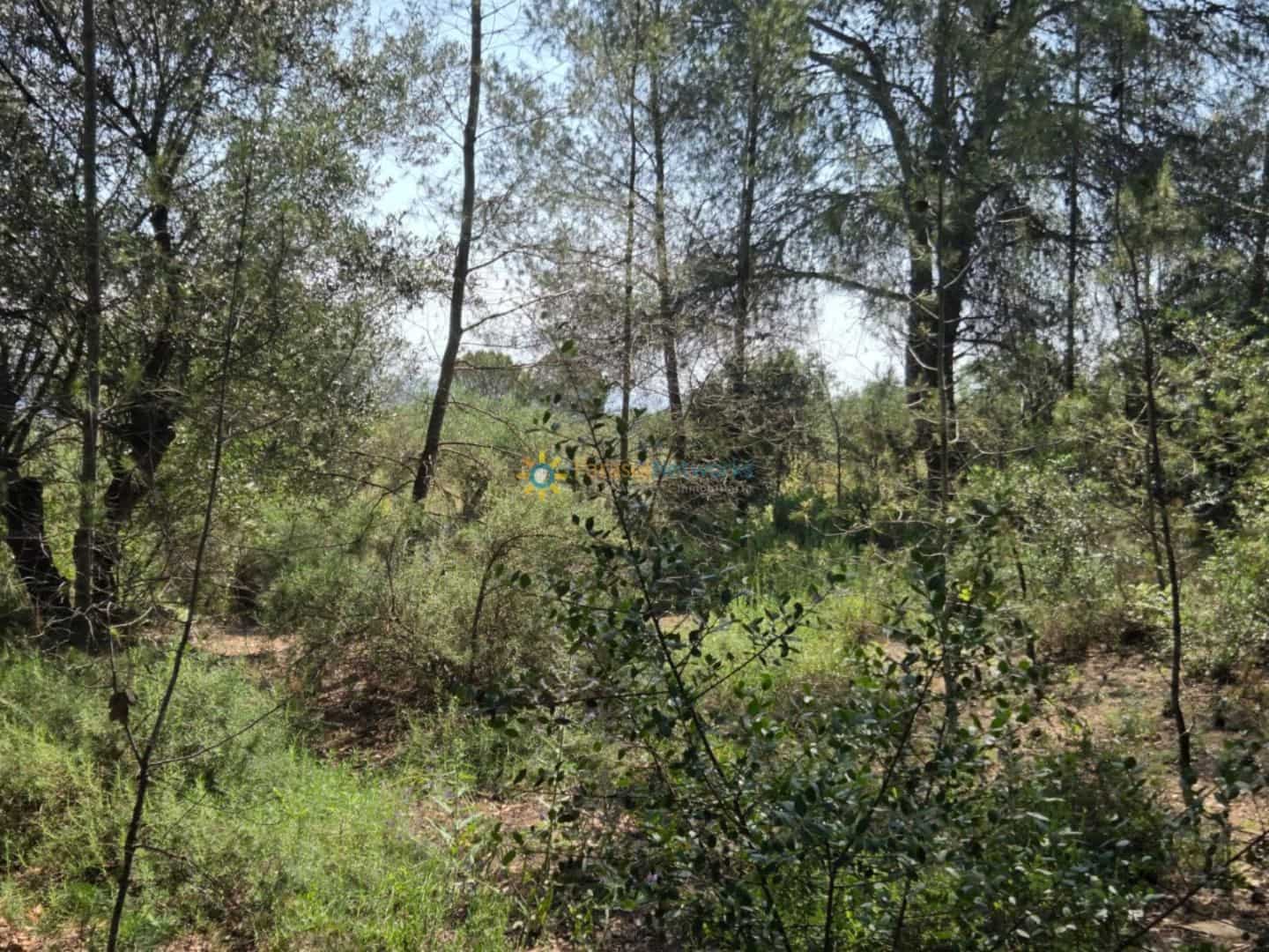 Grond te koop in Bellus - € 21.000 (Ref: 9428246)