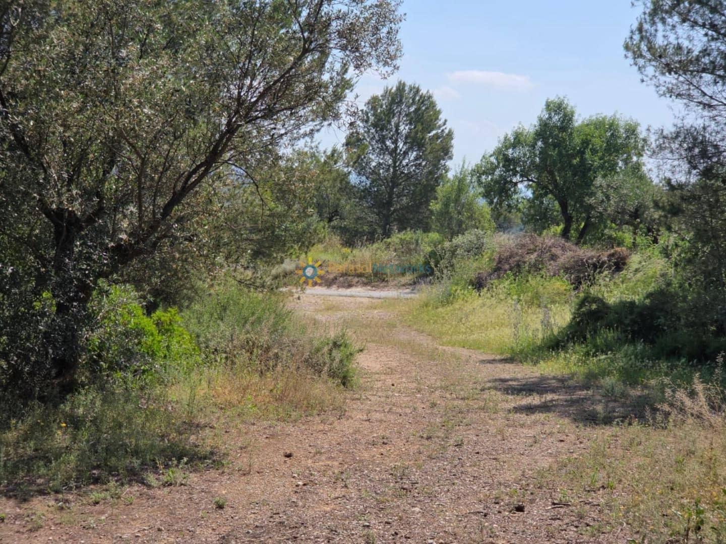 Grond te koop in Bellus - € 21.000 (Ref: 9428246)