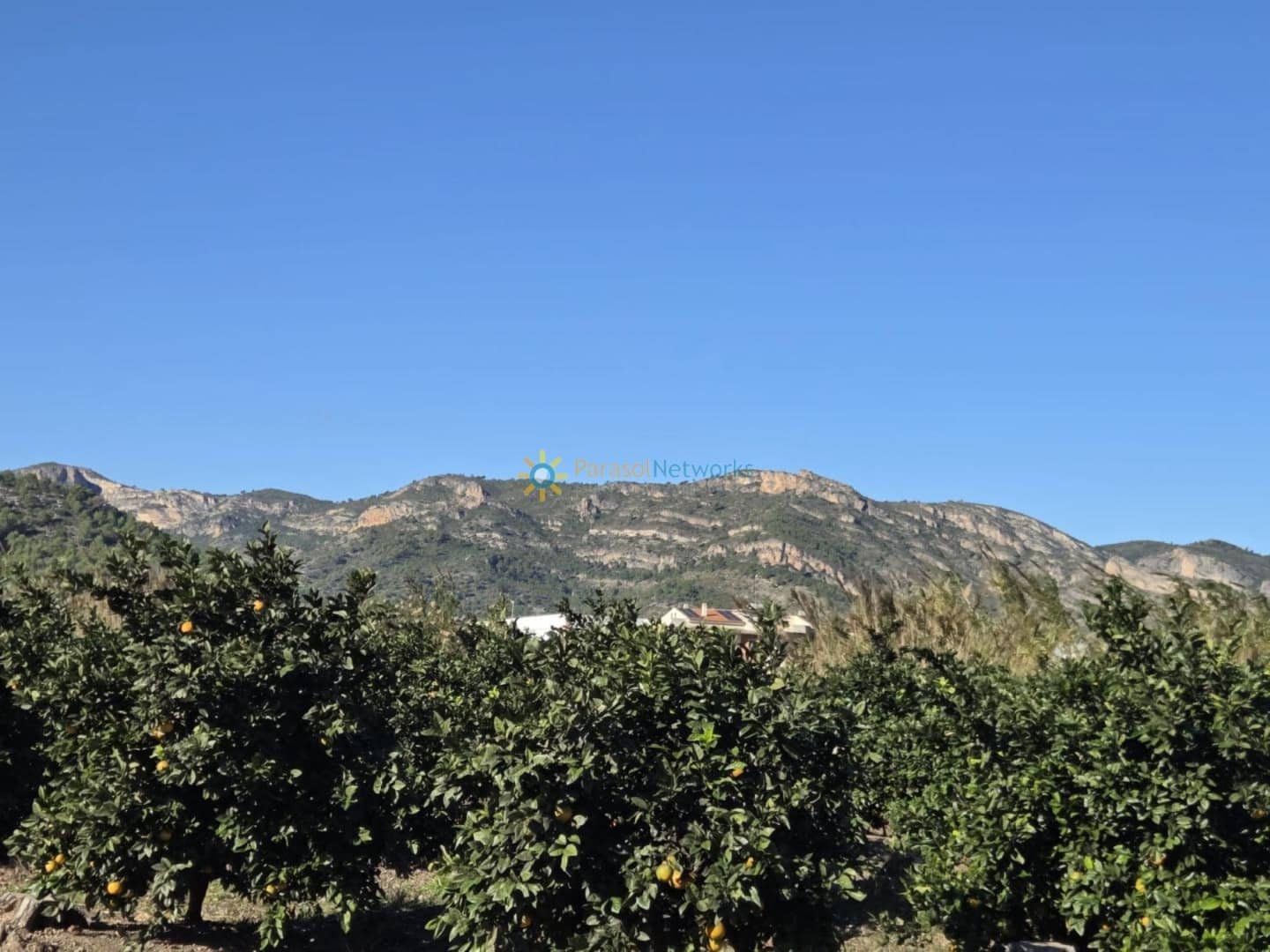 Mark till salu i Xeraco - 93 000 € (Ref: 9432787)