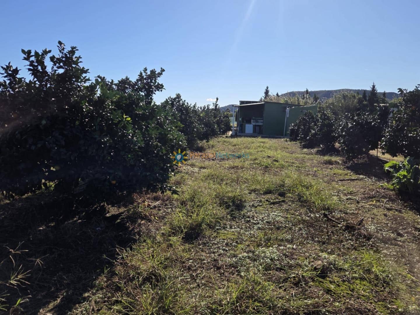 Mark till salu i Xeraco - 93 000 € (Ref: 9432787)