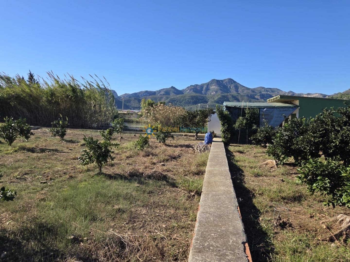 Mark till salu i Xeraco - 93 000 € (Ref: 9432787)