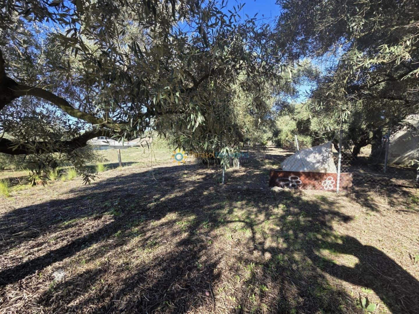 Rakentamaton maa myytävänä paikassa Beniganim - 68 000 € (Ref: 9432788)