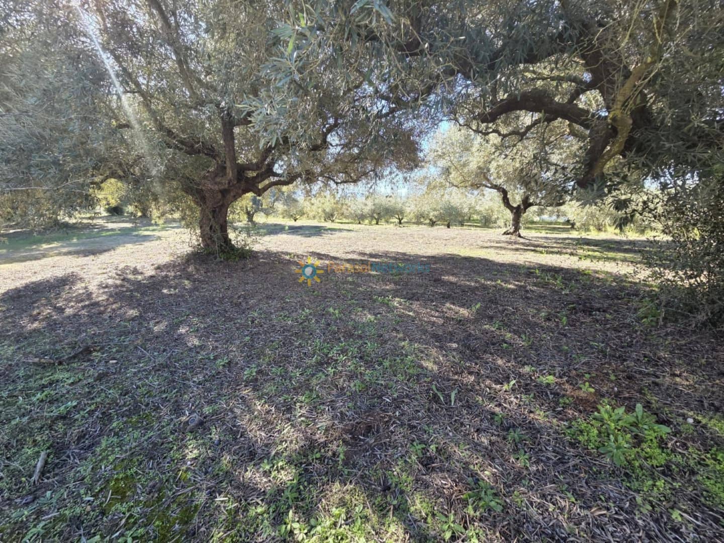 Rakentamaton maa myytävänä paikassa Beniganim - 68 000 € (Ref: 9432788)